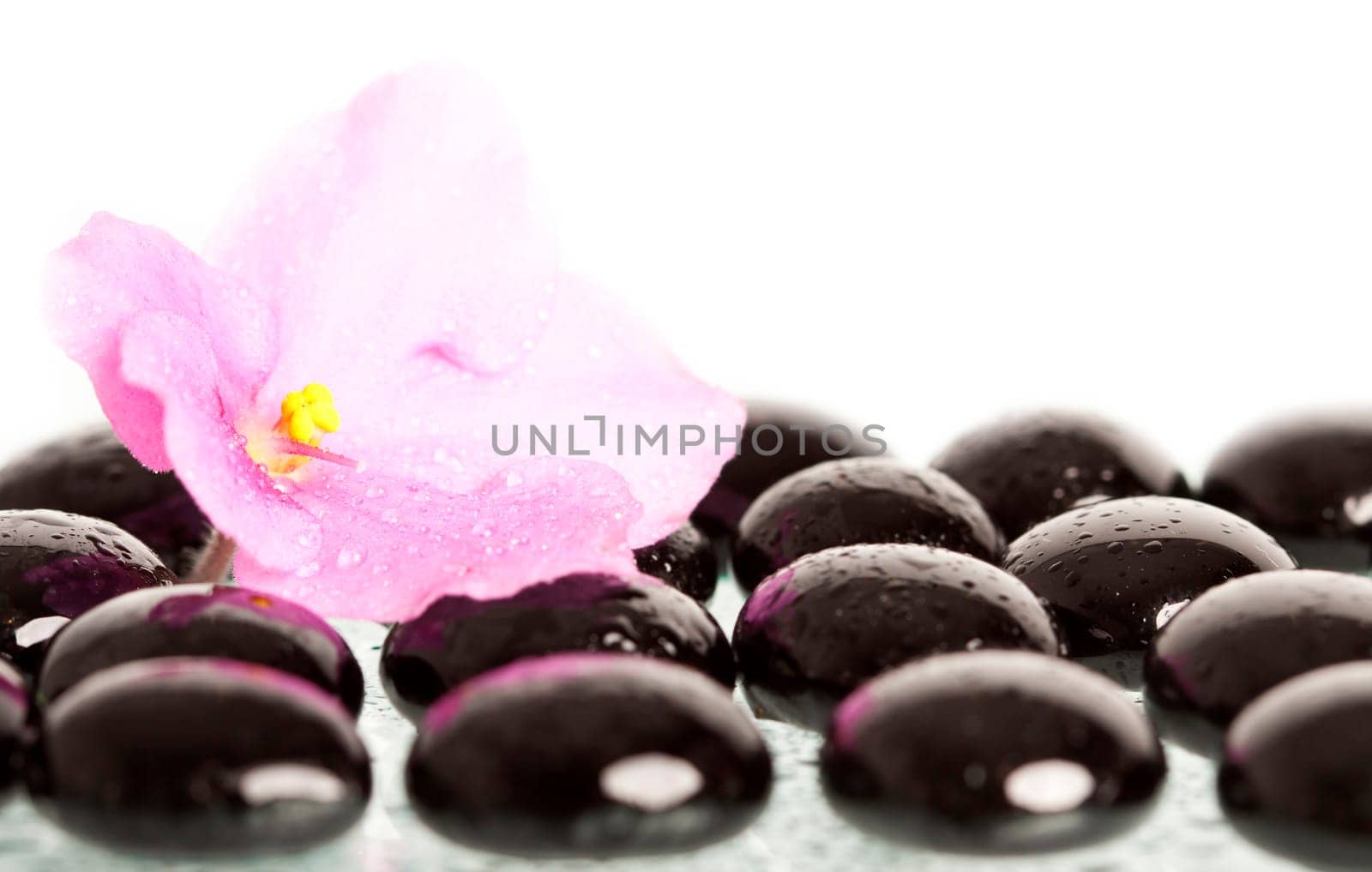 Spa stones and pink flower on colorful spring background