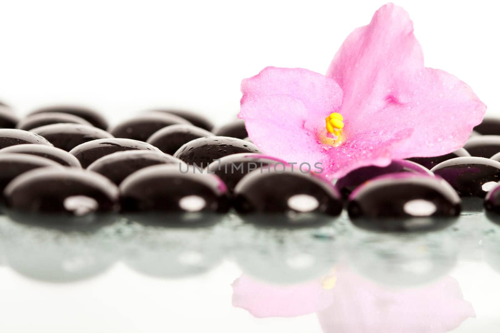 Spa stones and pink flower on colorful spring background