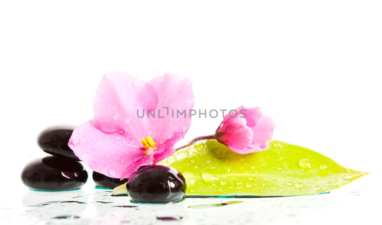 Spa stones and pink flower on colorful spring background