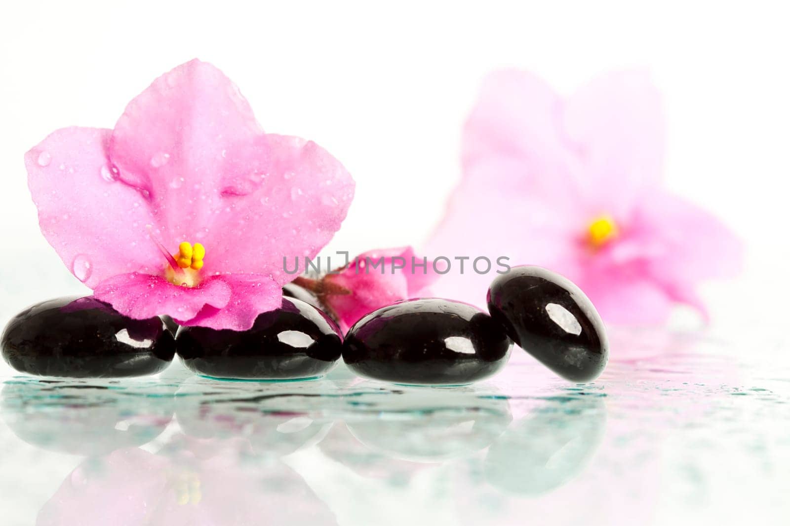 Black spa stones and pink flower on white background