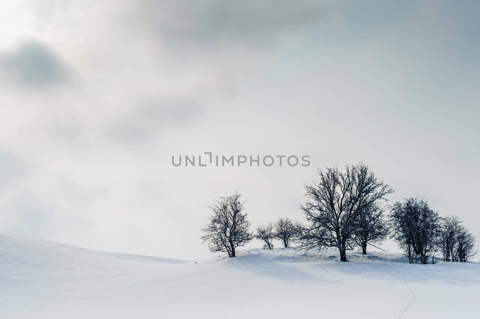 Harsh winter landscape with visible trees on the top of the hill, sun and clouds in the white sky.
