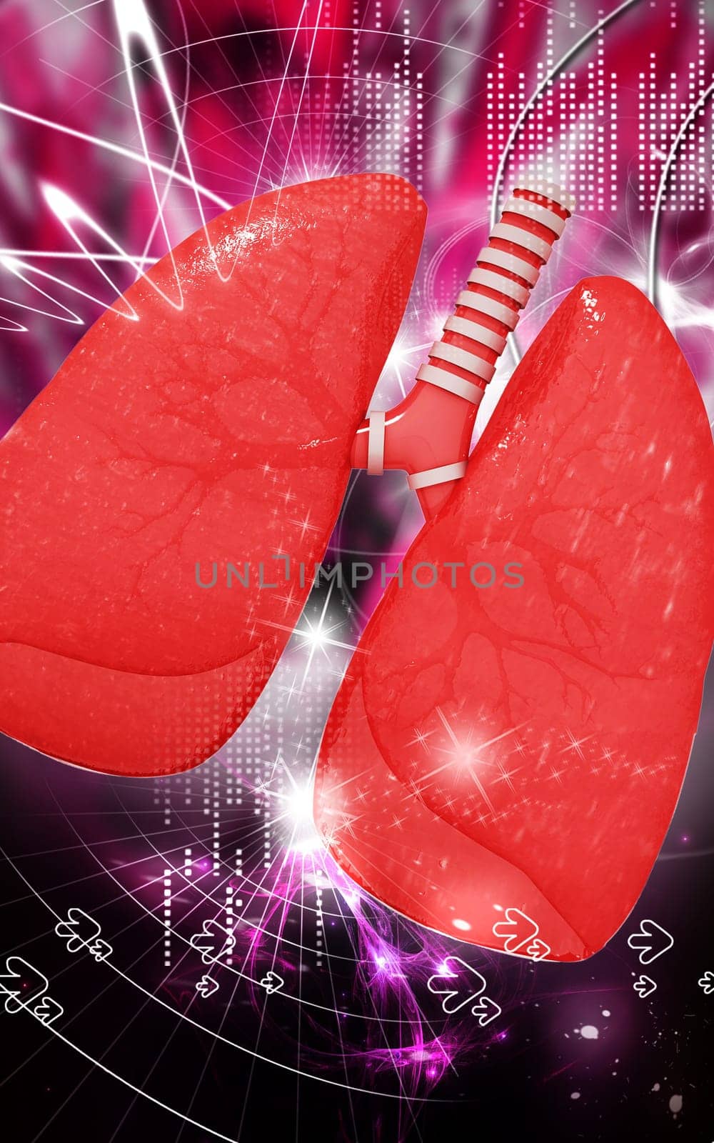 Digital illustration of human lungs in colour background