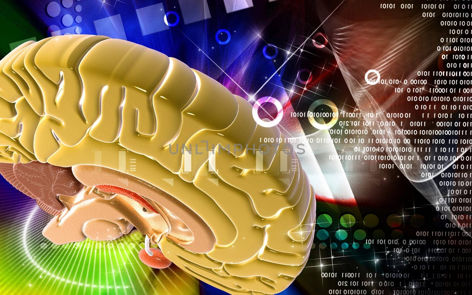 Digital illustration of brain in colour background