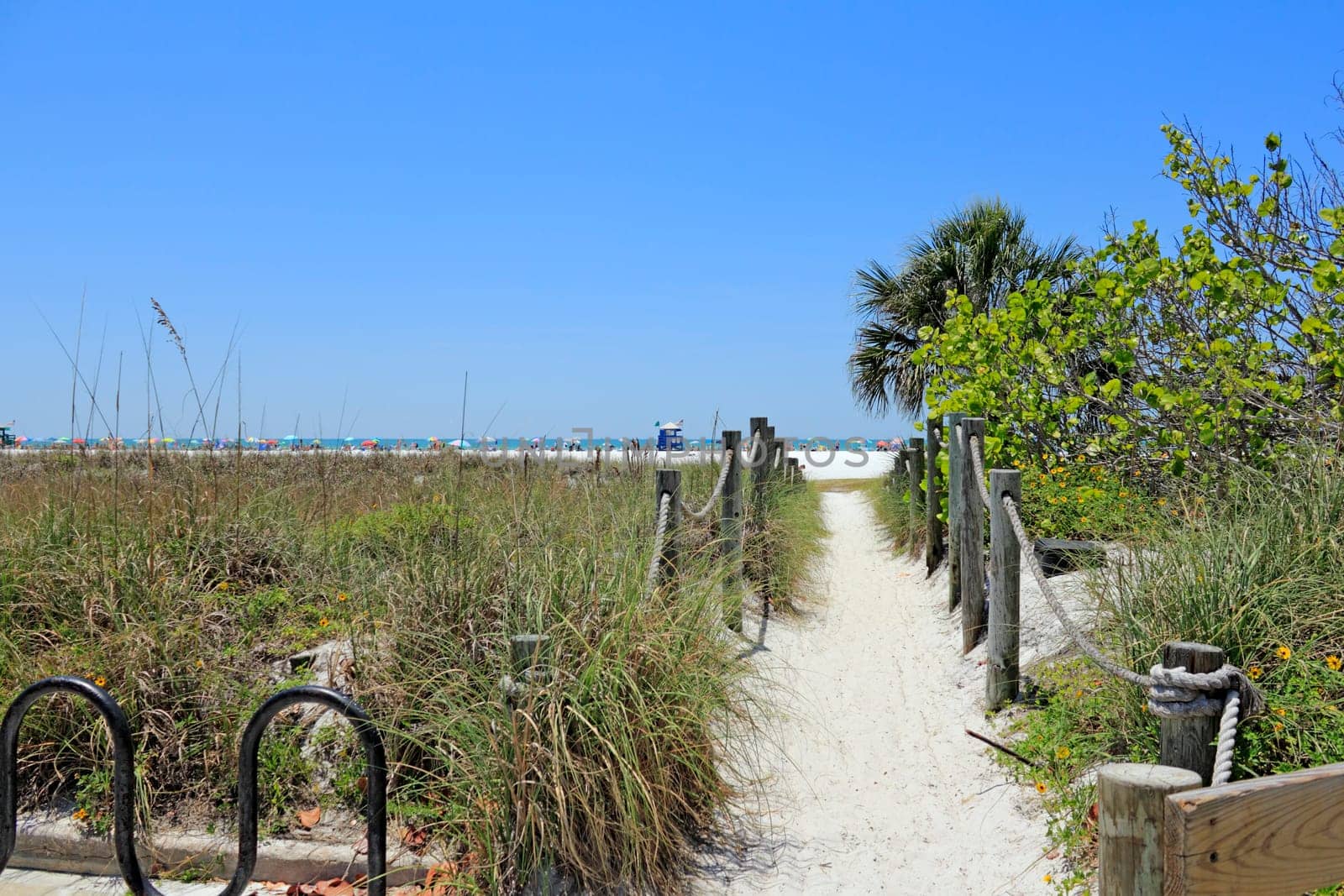 SIESTA KEY, FLORIDA - MAY 9, 2013:Long sand path past grasses and foliage to popular, sunny and busy Siesta Beach on Siesta Key.