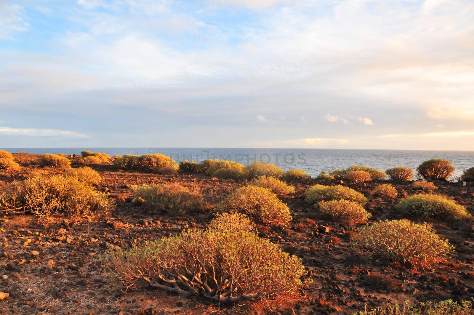 Desert Landscape in South of Tenerife Canary Island Spain