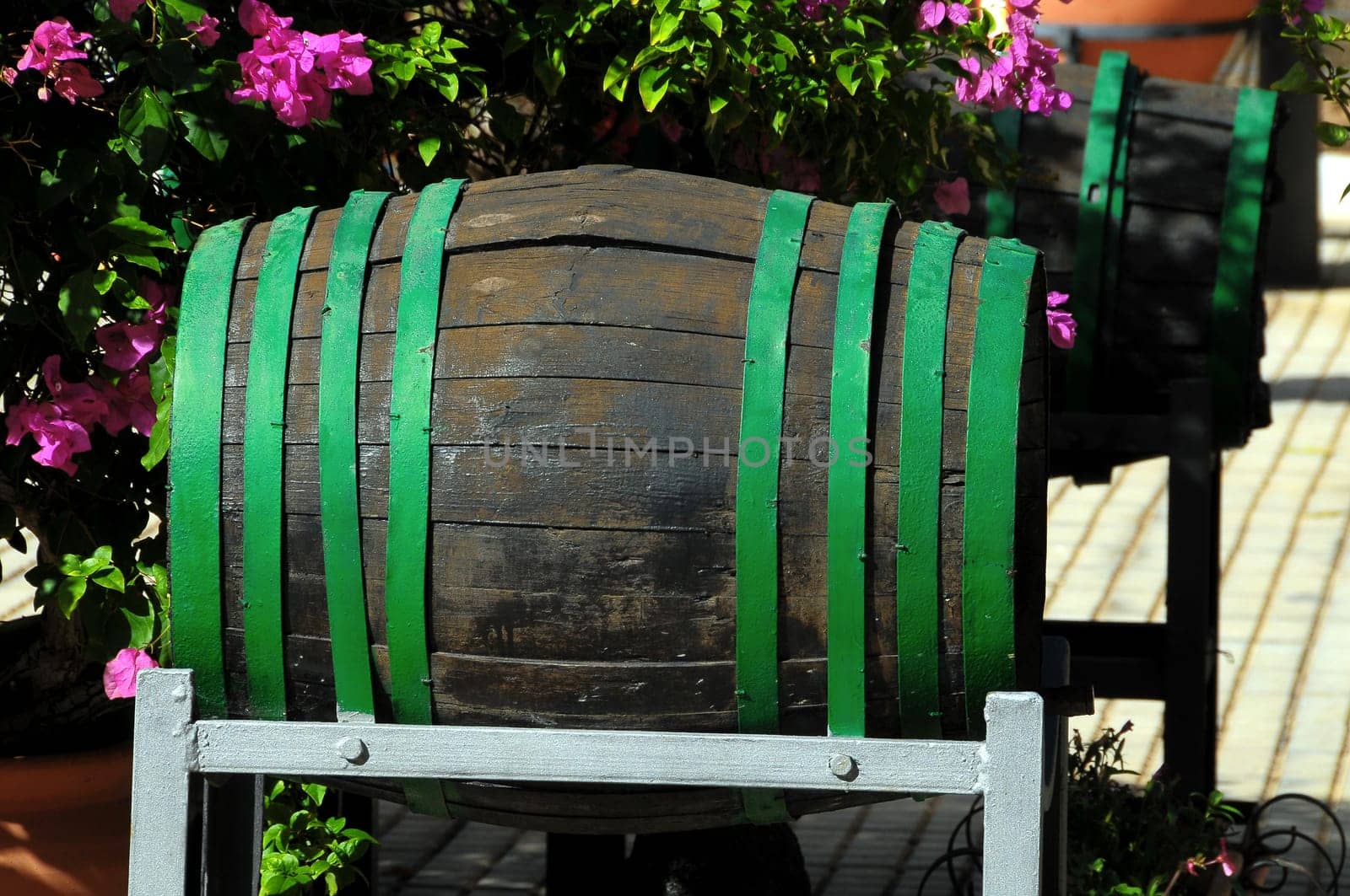 Decorative Old Wooden Barrel on an Urban Garden