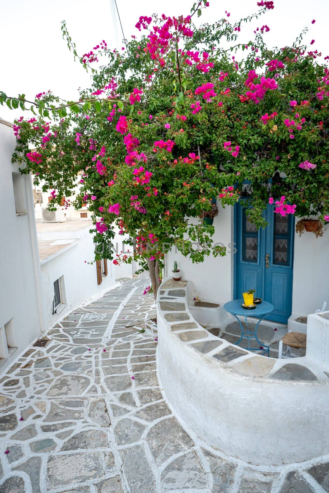 Bougainvillea in the streets of Lefkes, Paros