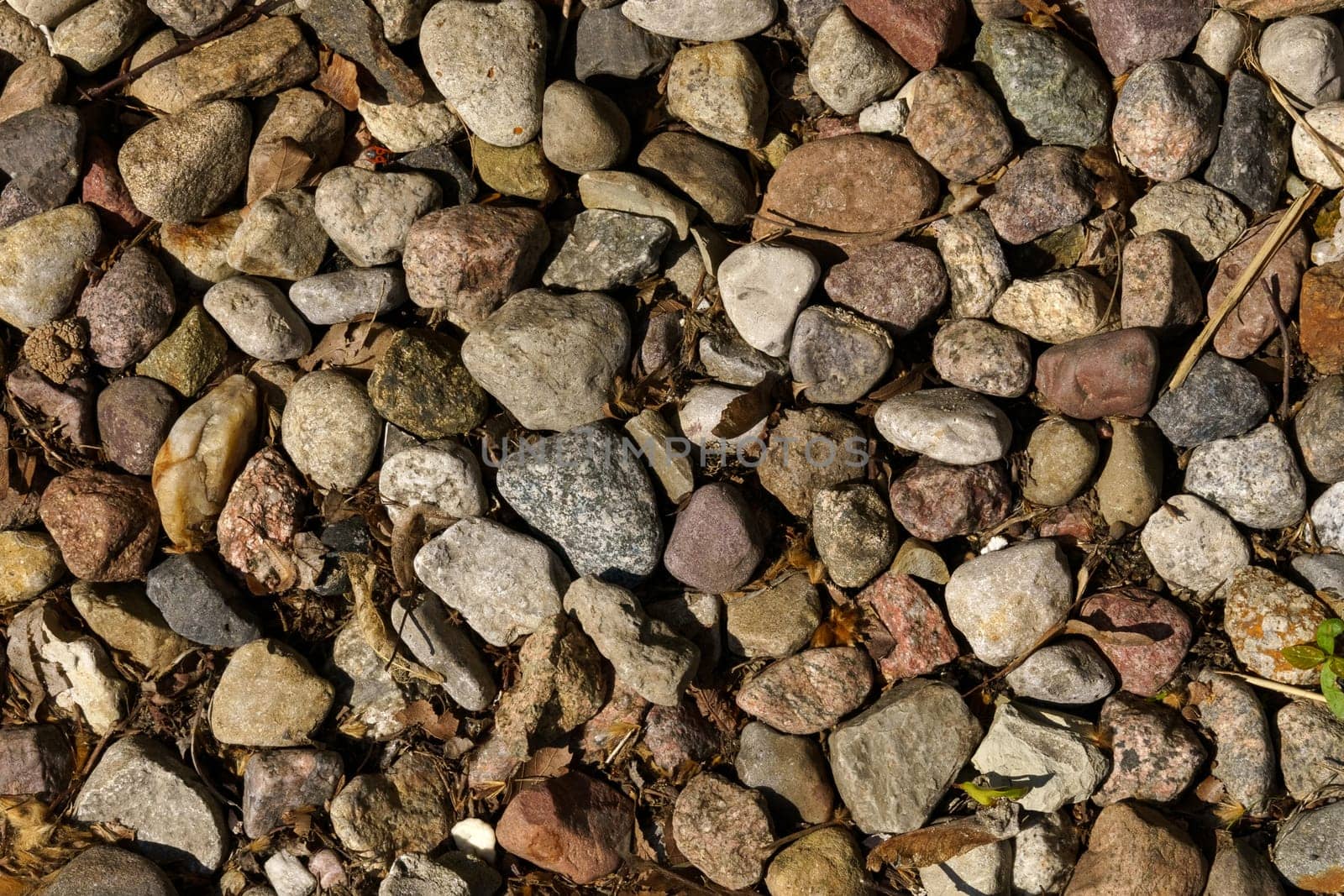 Texture of a stone street path with withered leaves. Stone texture.