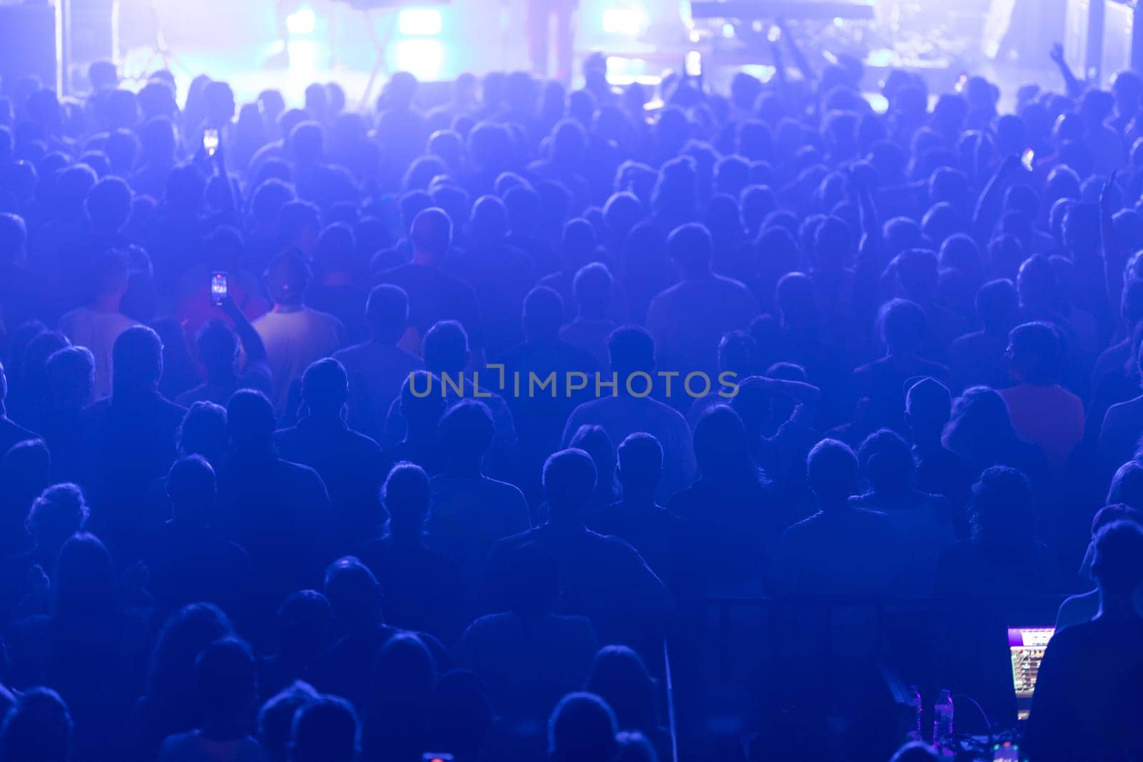 A concert scene showcasing a densely packed, engaged, and lively audience.