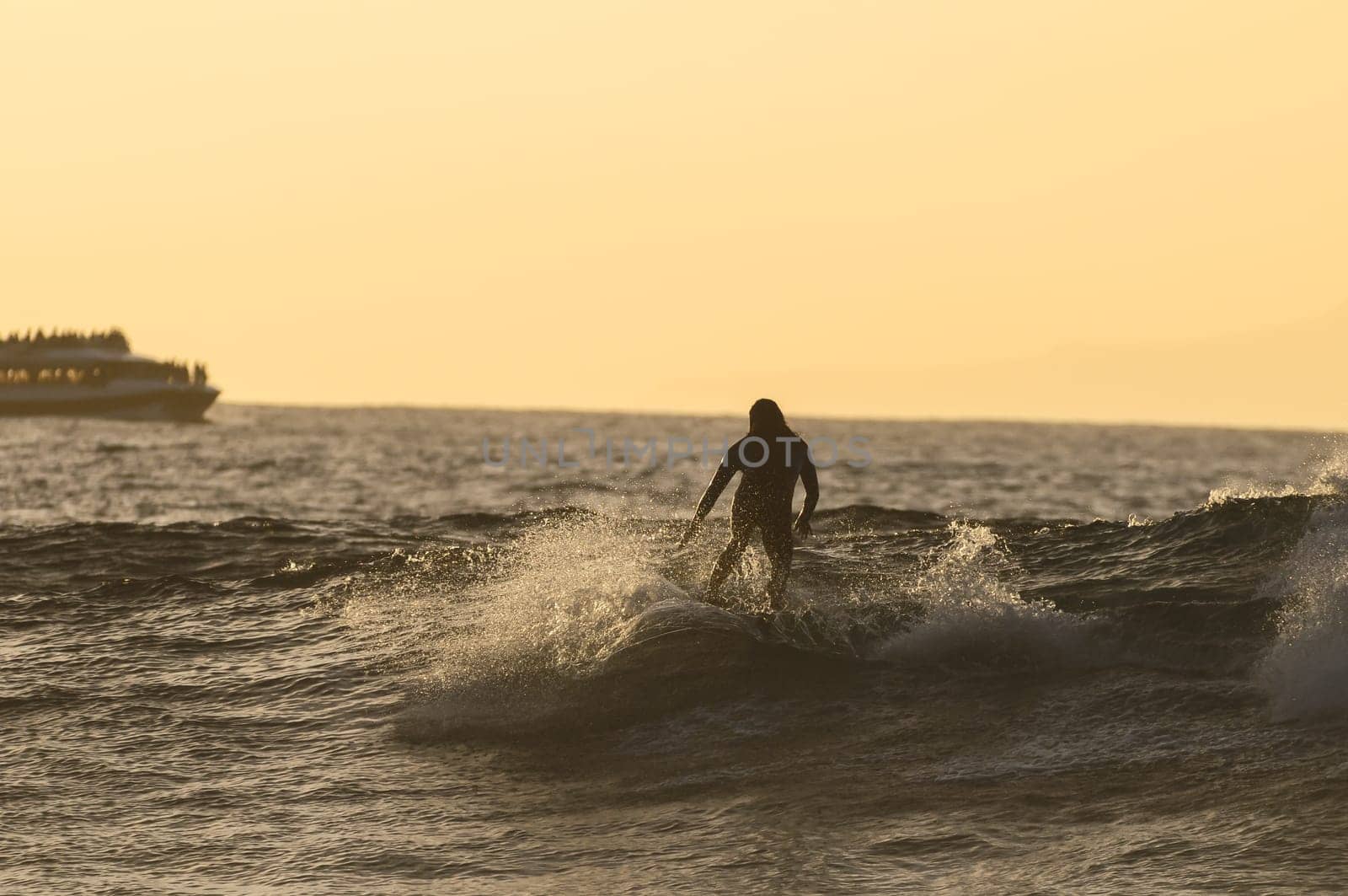 Backlight Silhouette Surfer in the Ocean at Sunset