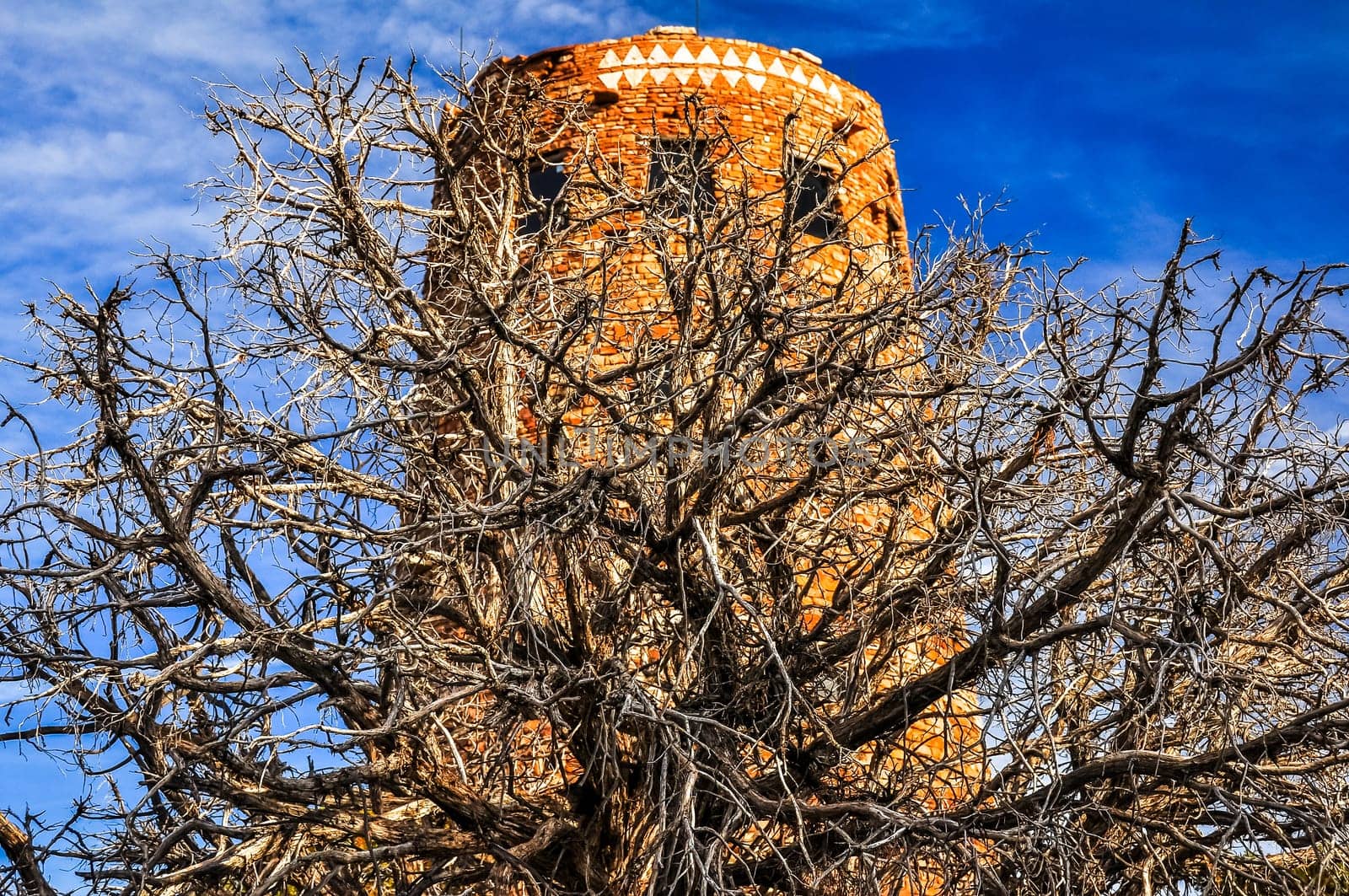 View of watchtower in Grand canyon with dry tree foreground, Arizona, USA