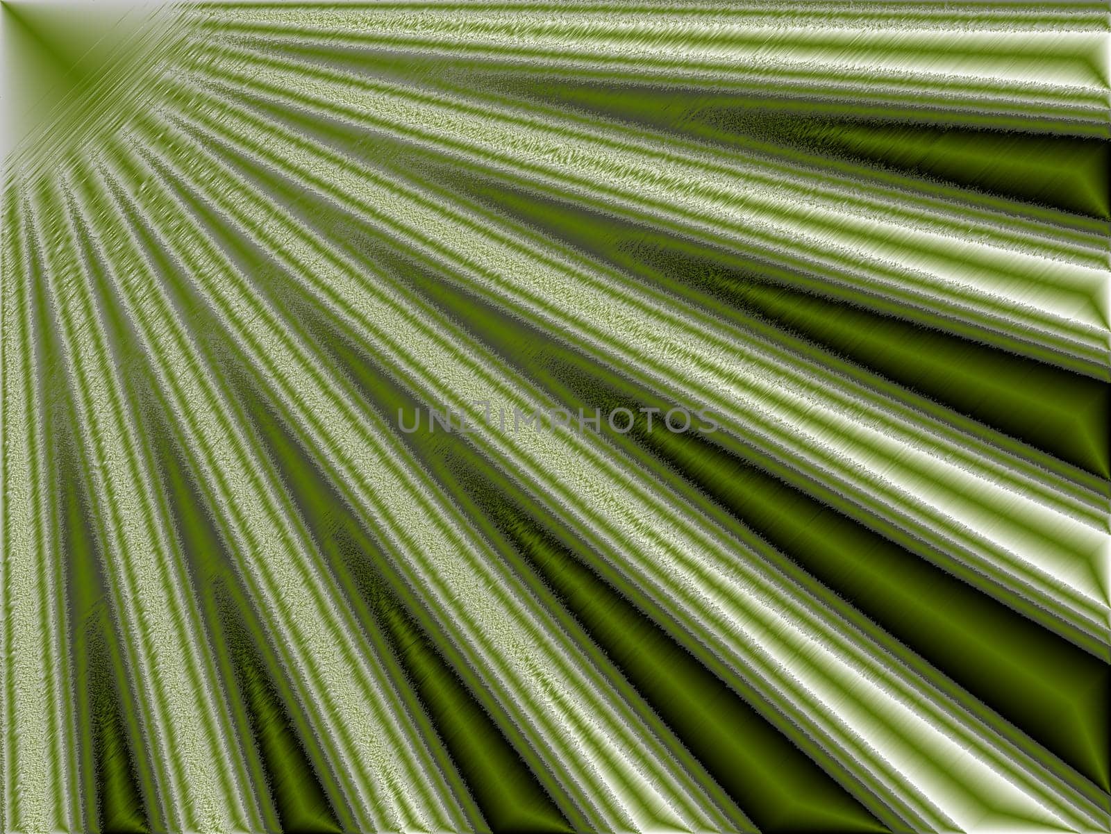 colored green background with a delicate structure