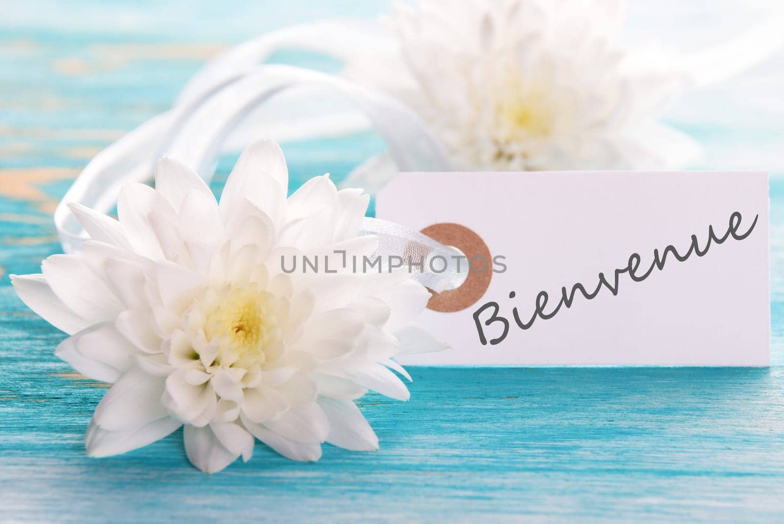 Banner with the French Word Bienvenue which means Welcome