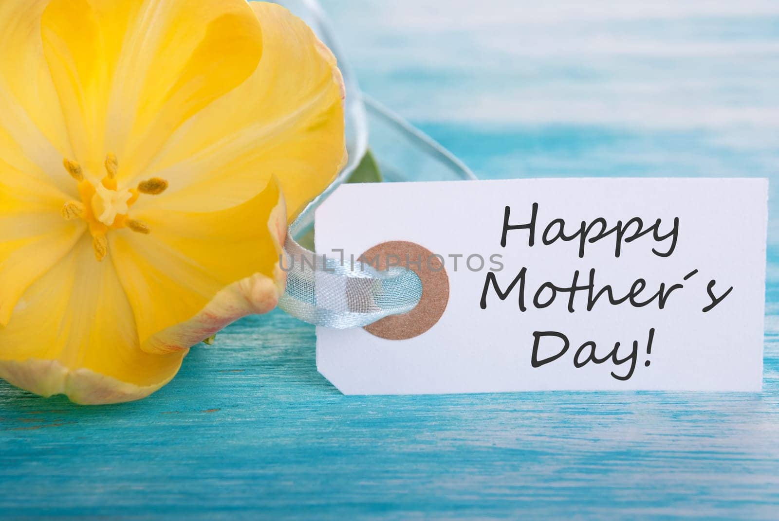 Label with Happy Mothers Day and yellow Blossom