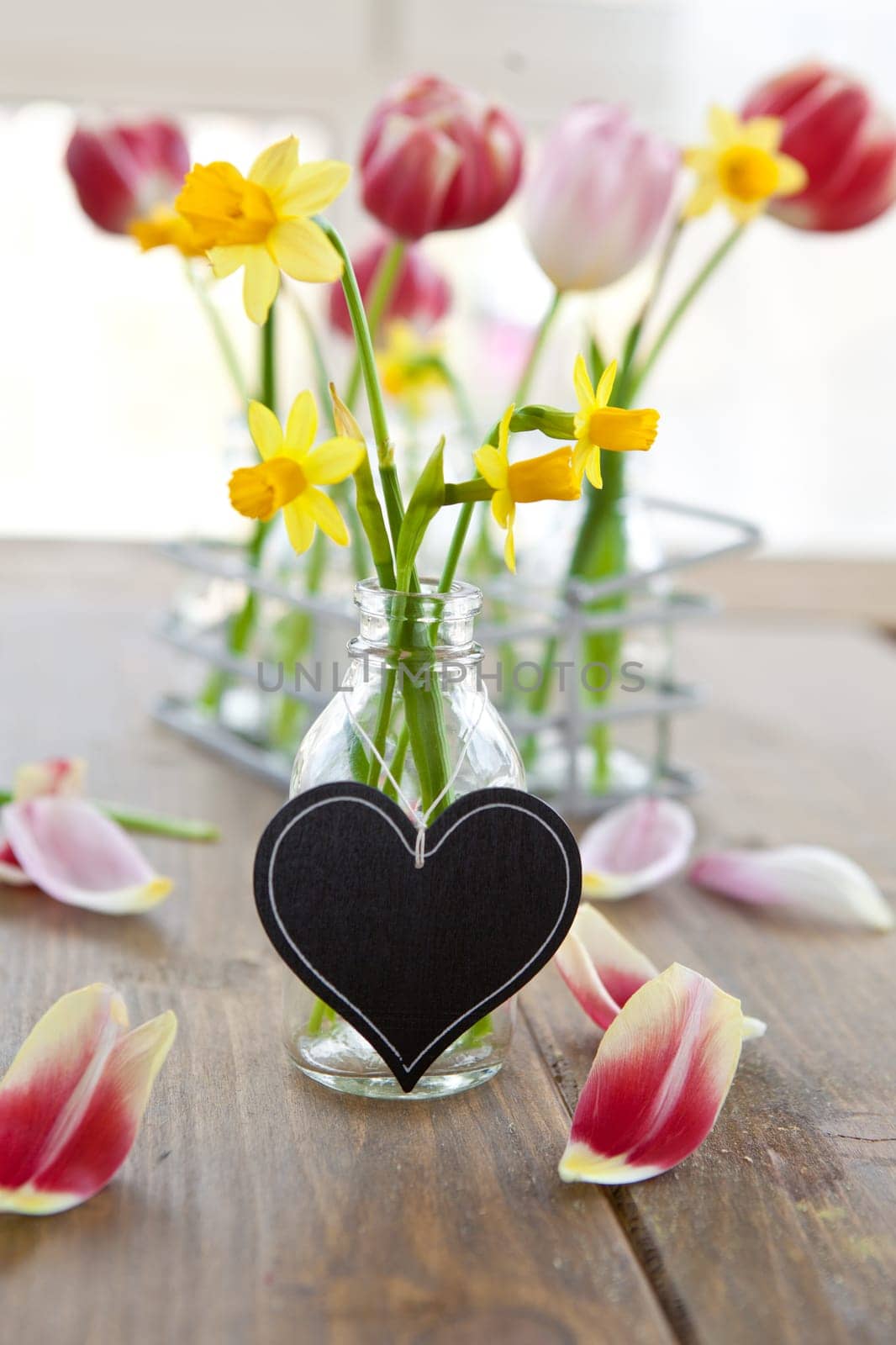 Fresh yellow daffodils in a small bottle with heart-shaped table
