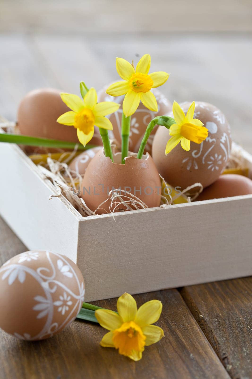 Fresh daffodils in eggshell and painted Easter eggs
