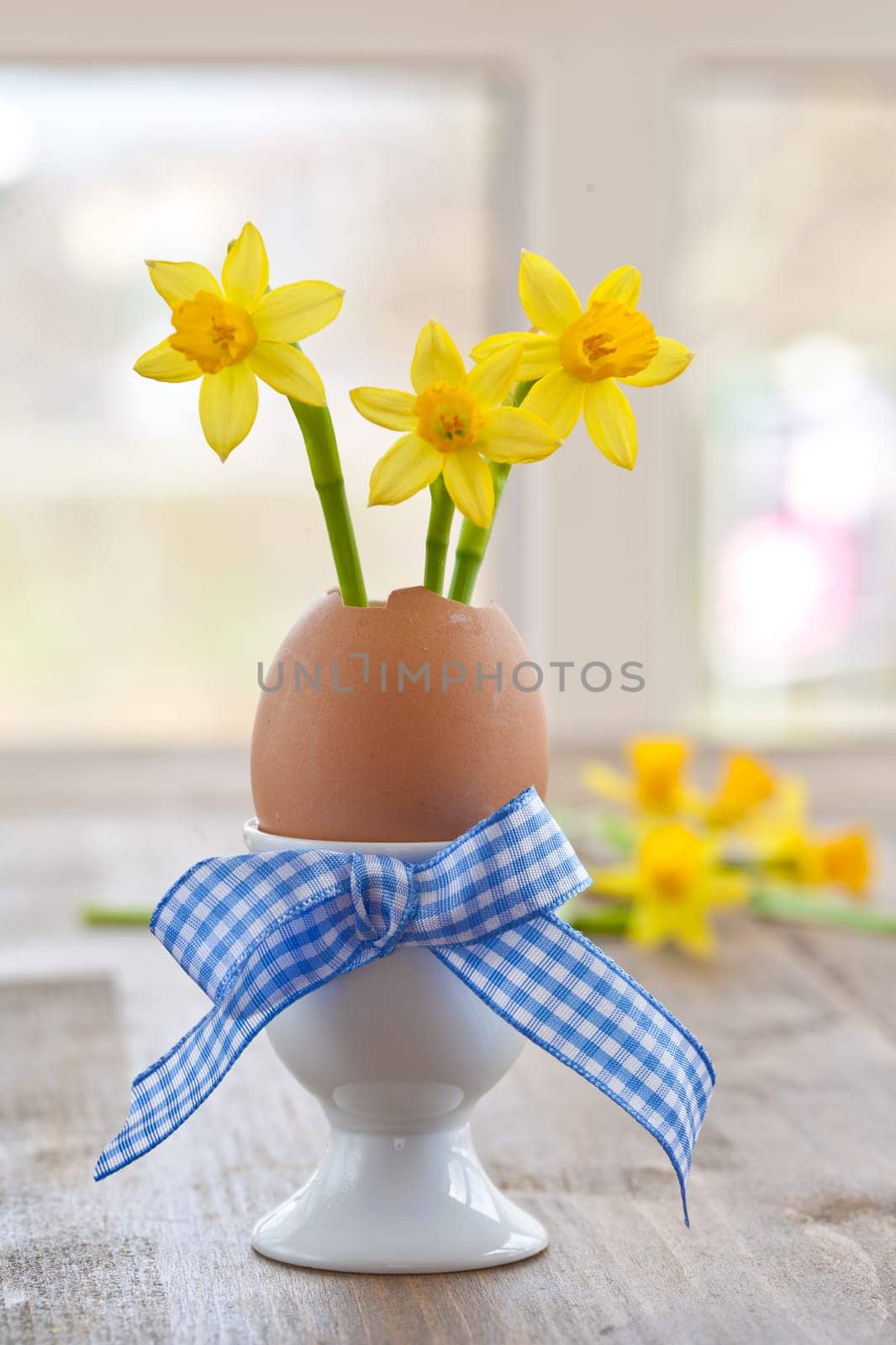 Fresh daffodils in eggshell with bow