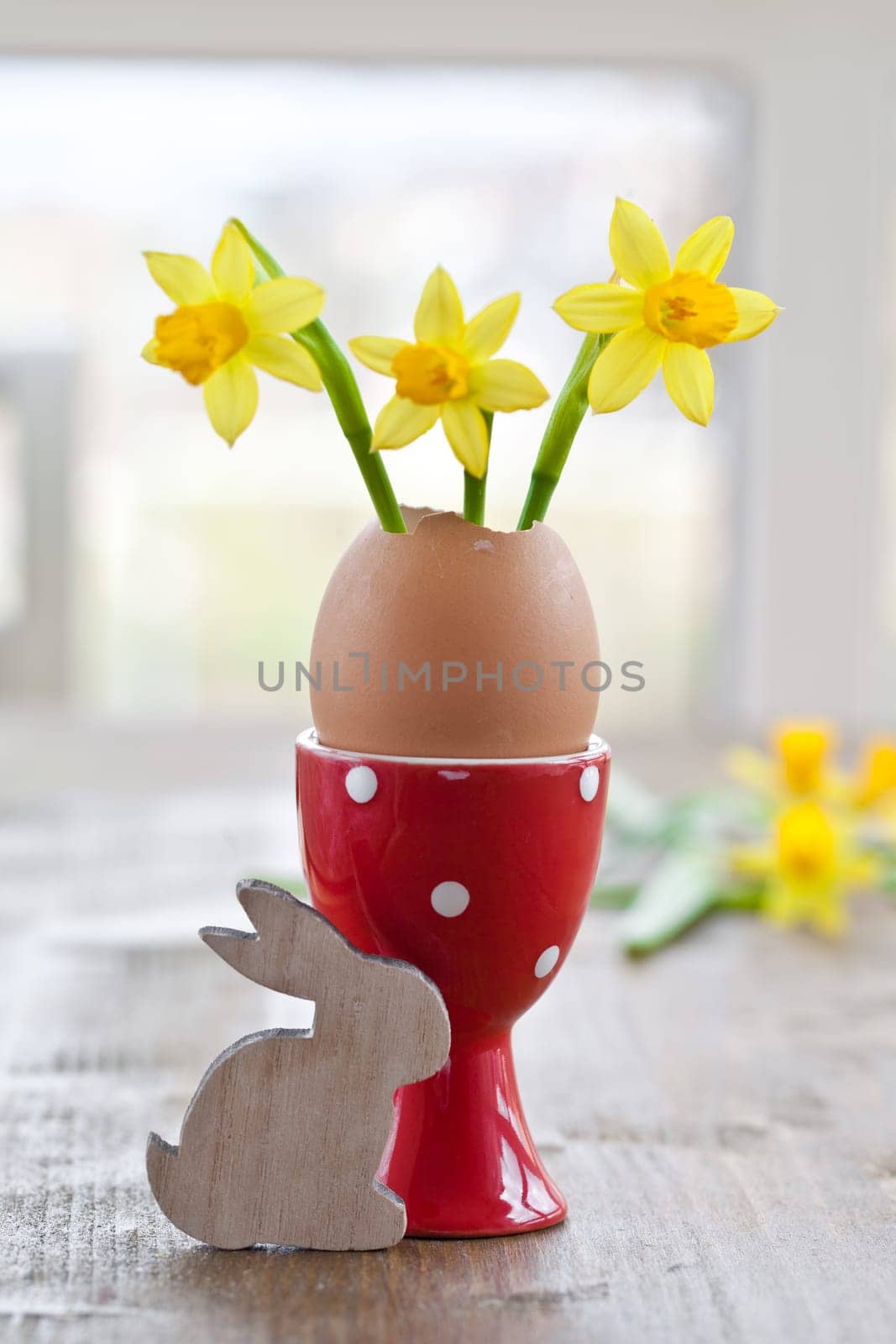 Fresh daffodils in eggshell in red egg cup