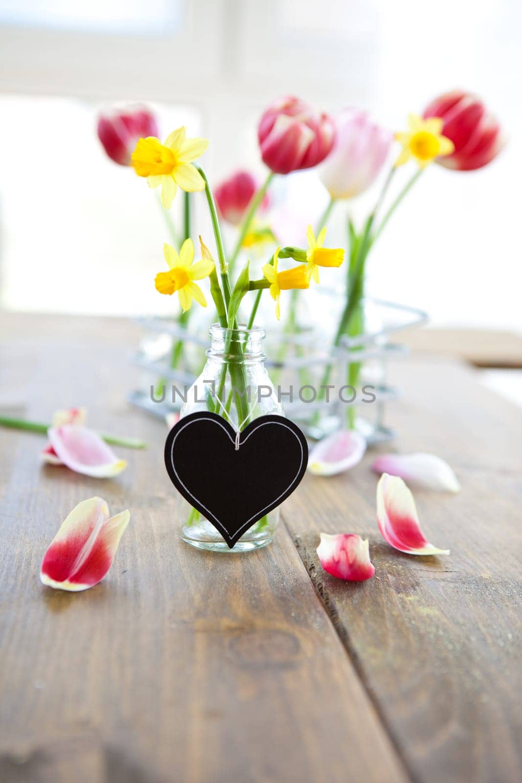 Fresh yellow daffodils in a small bottle with heart-shaped table