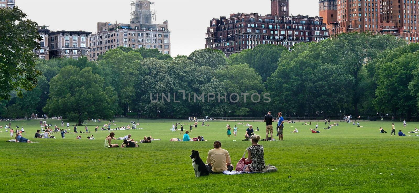 Lawn area