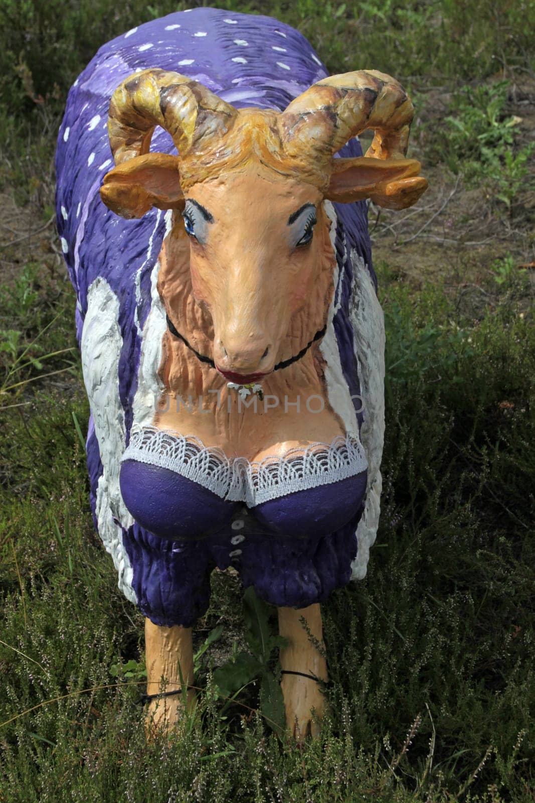 Colorful artificial sheep