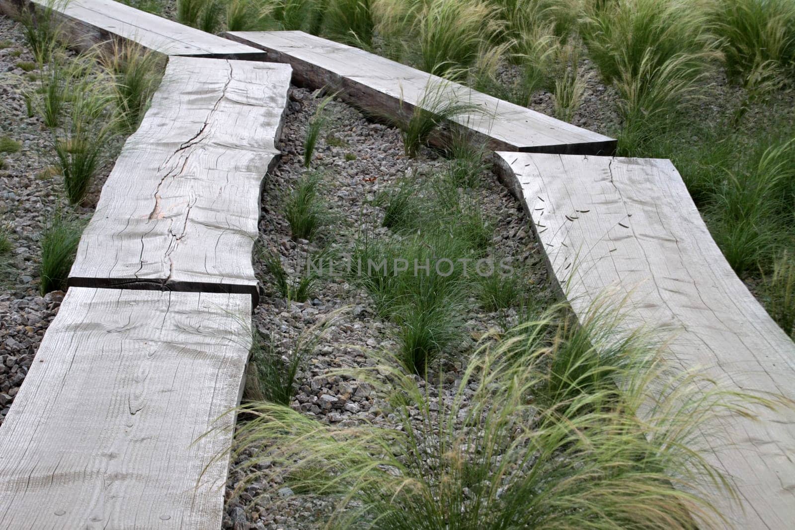 Plank path in a garden