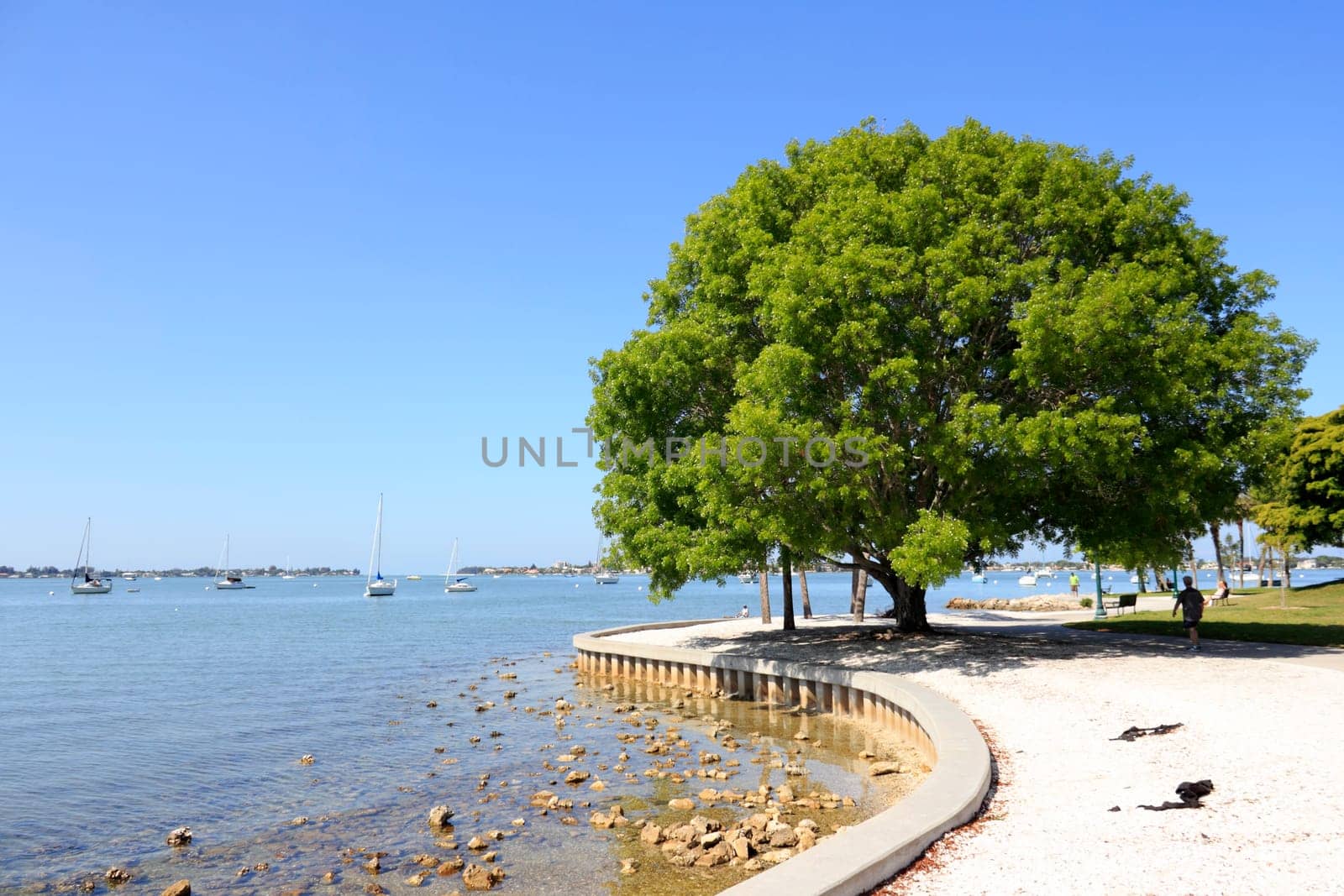 SARASOTA, FLORIDA - MAY 9, 2013
