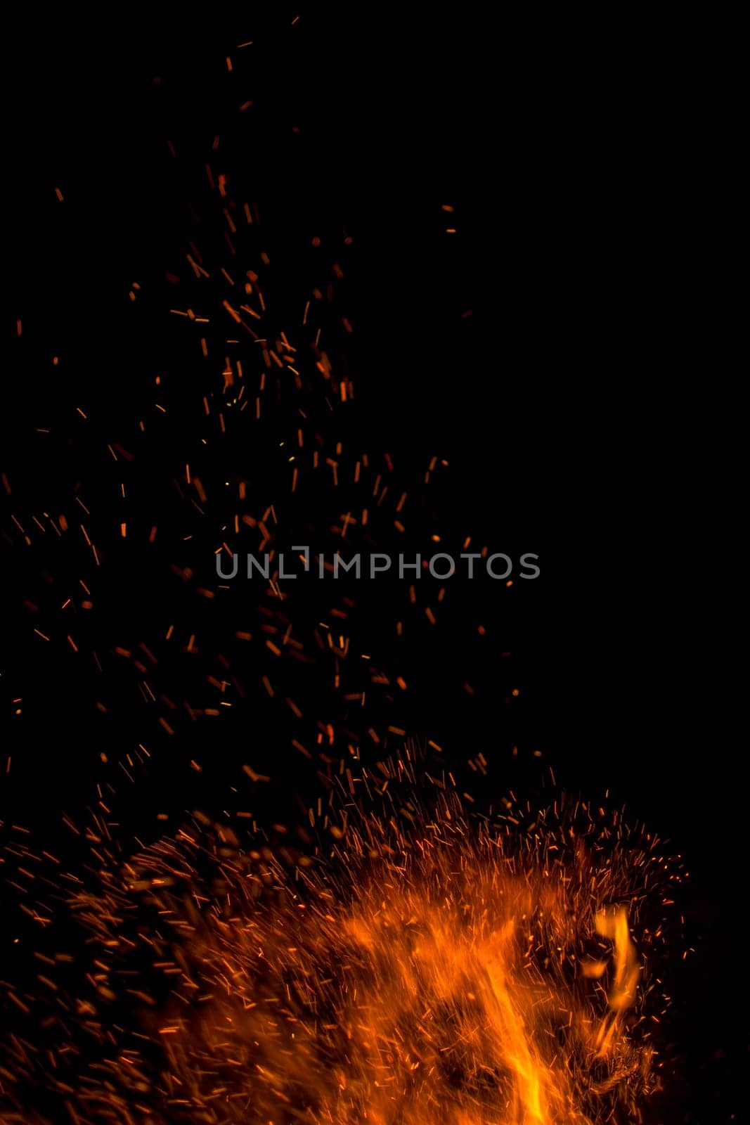 firewood burned in a bonfire closeup