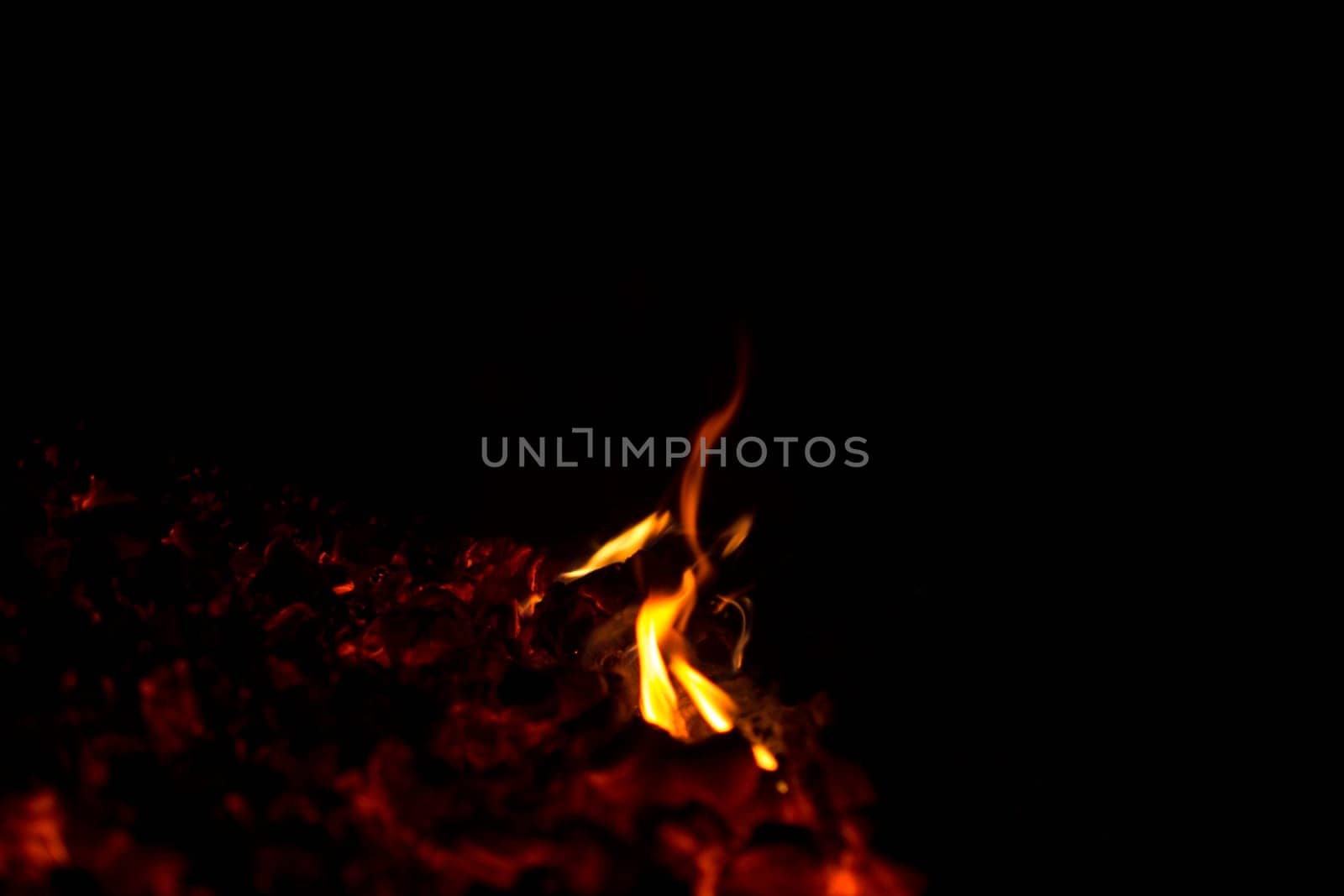 firewood burned in a bonfire closeup