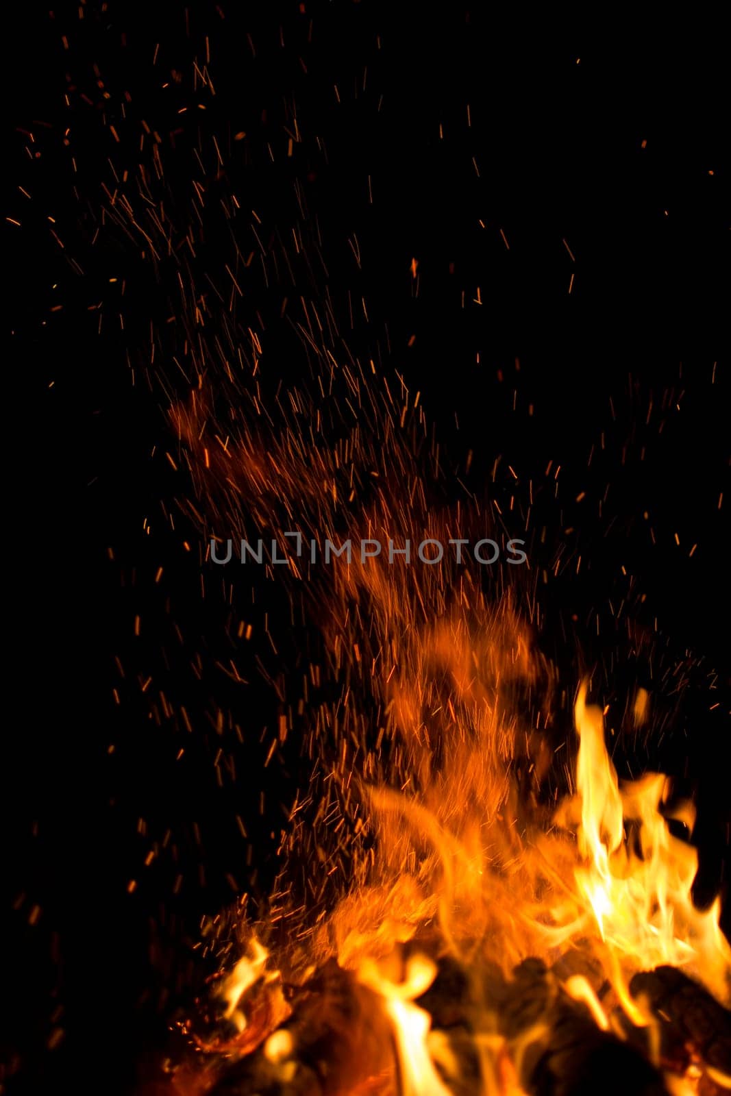 firewood burned in a bonfire closeup