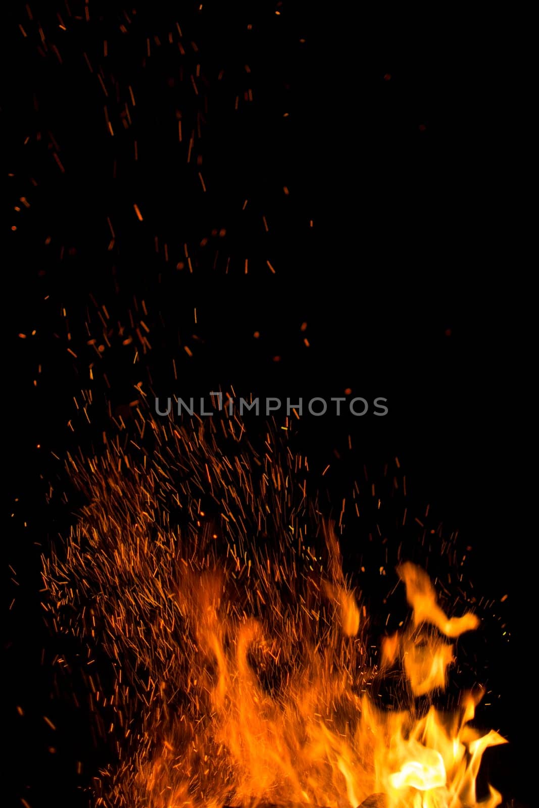 firewood burned in a bonfire closeup