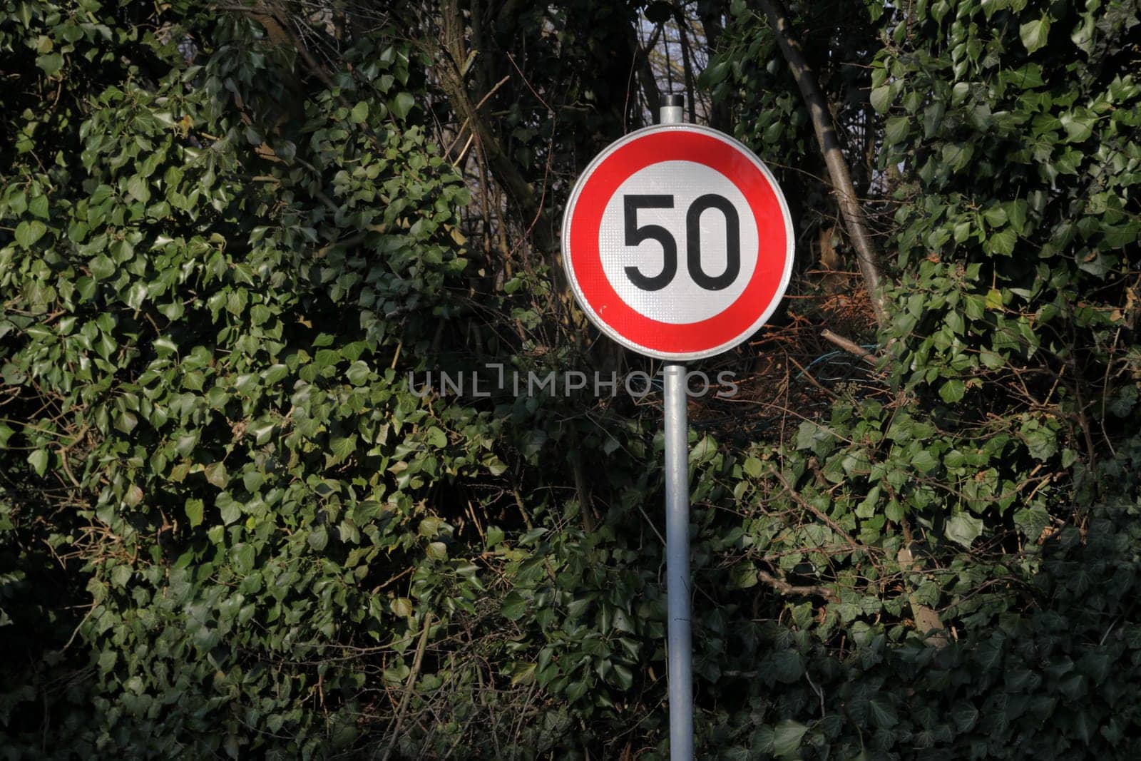 Speed limit 50