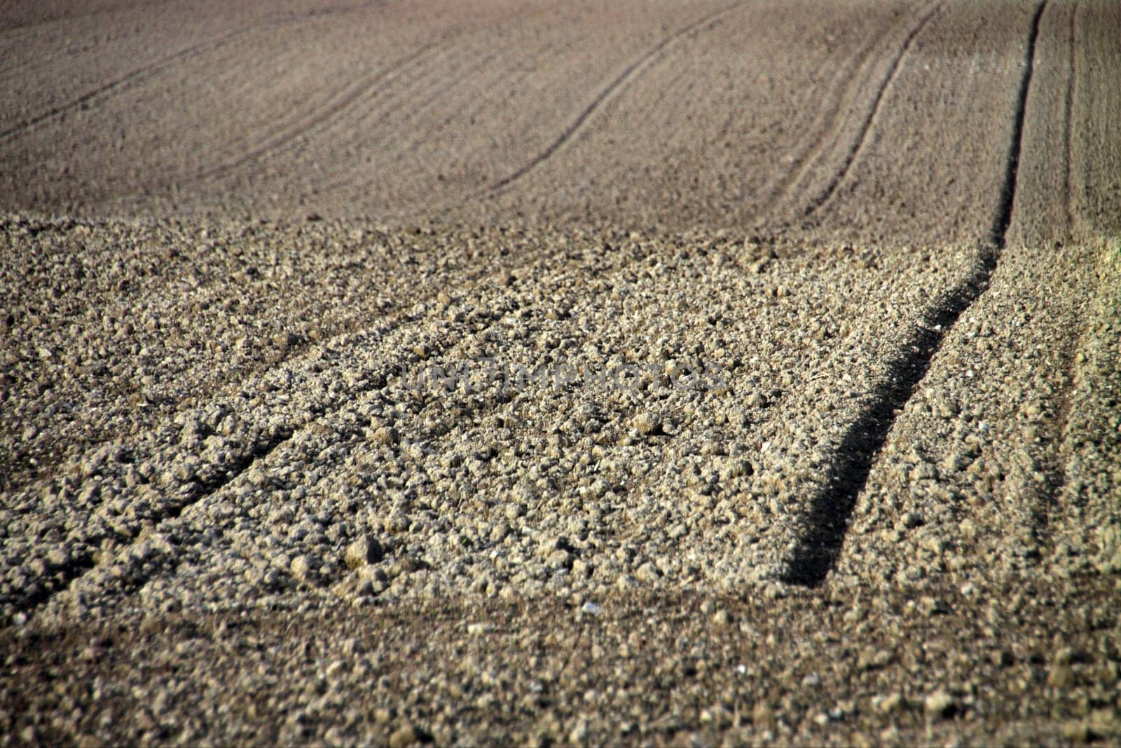 Soil