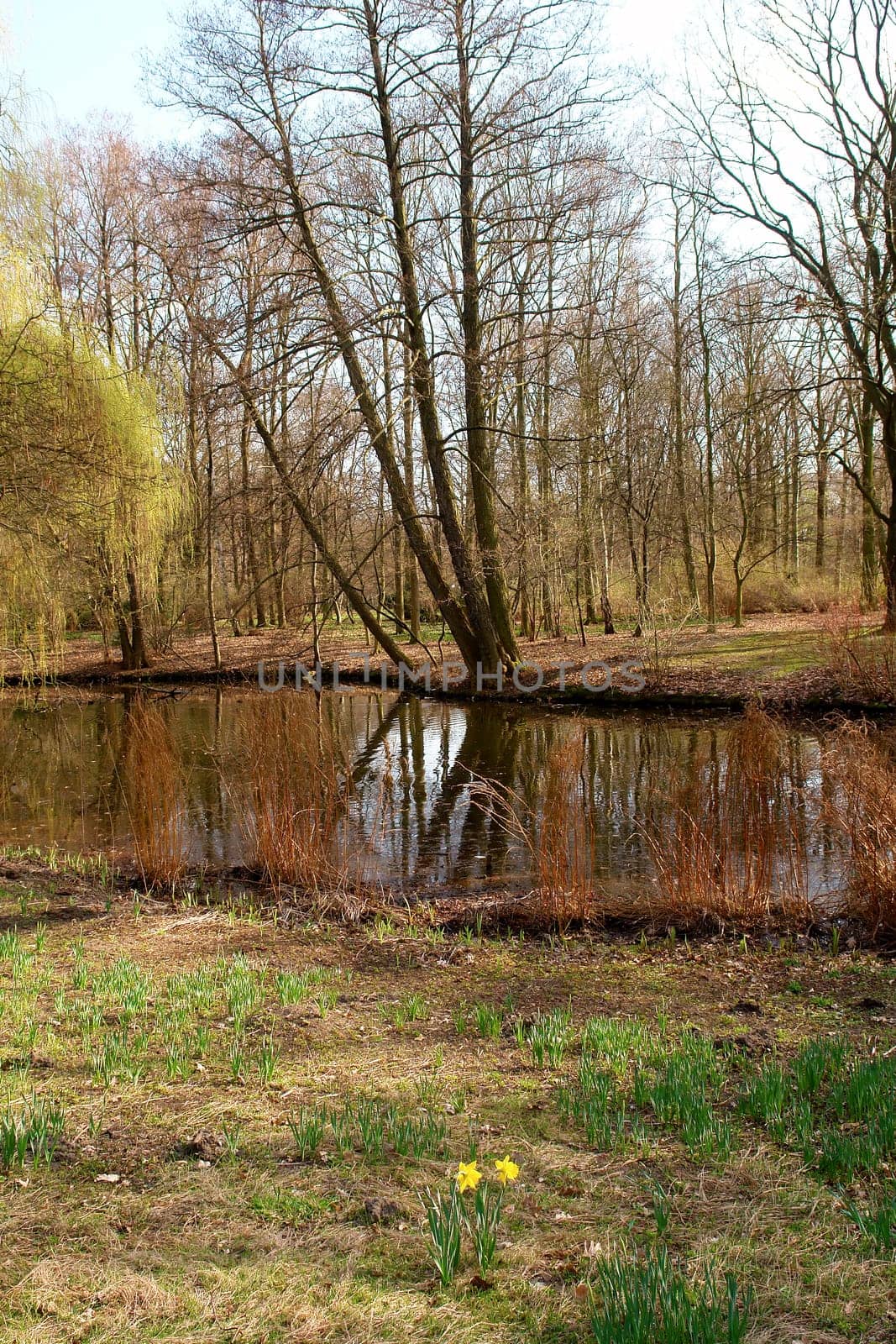 Tiergarten center city park, Berlin, Germany..
