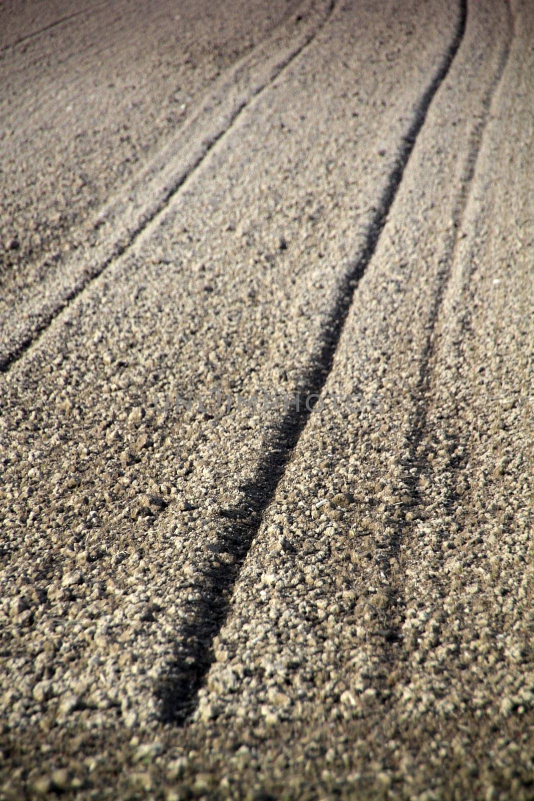 Soil