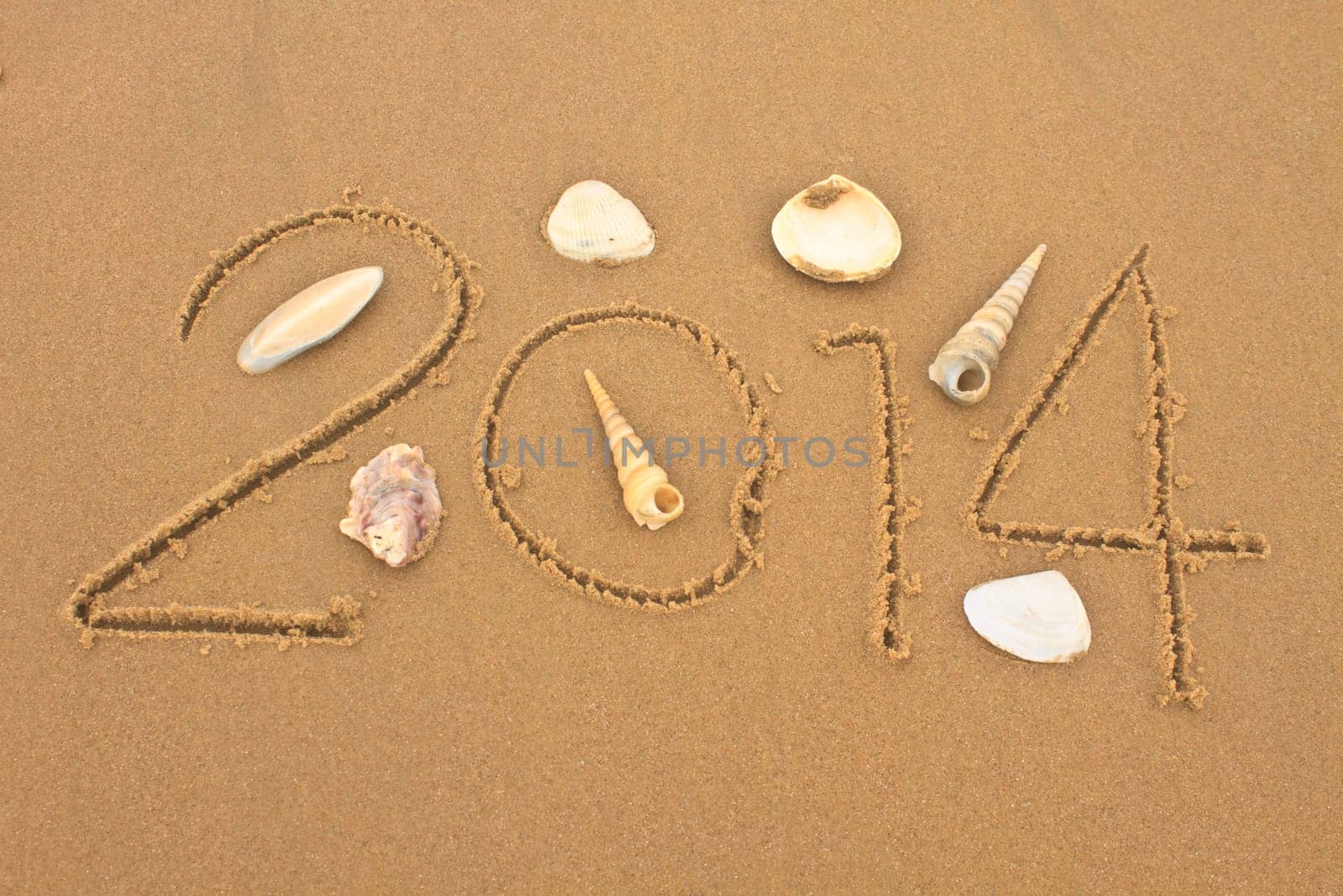 New year 2014 on the beach with shells