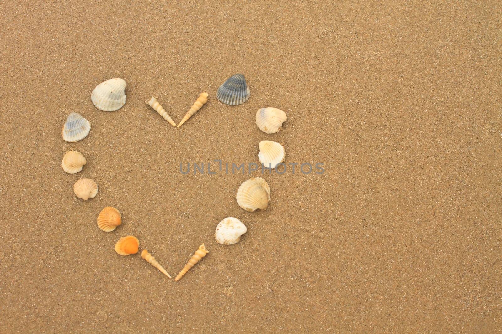 love heart made of shells on beach background concept image