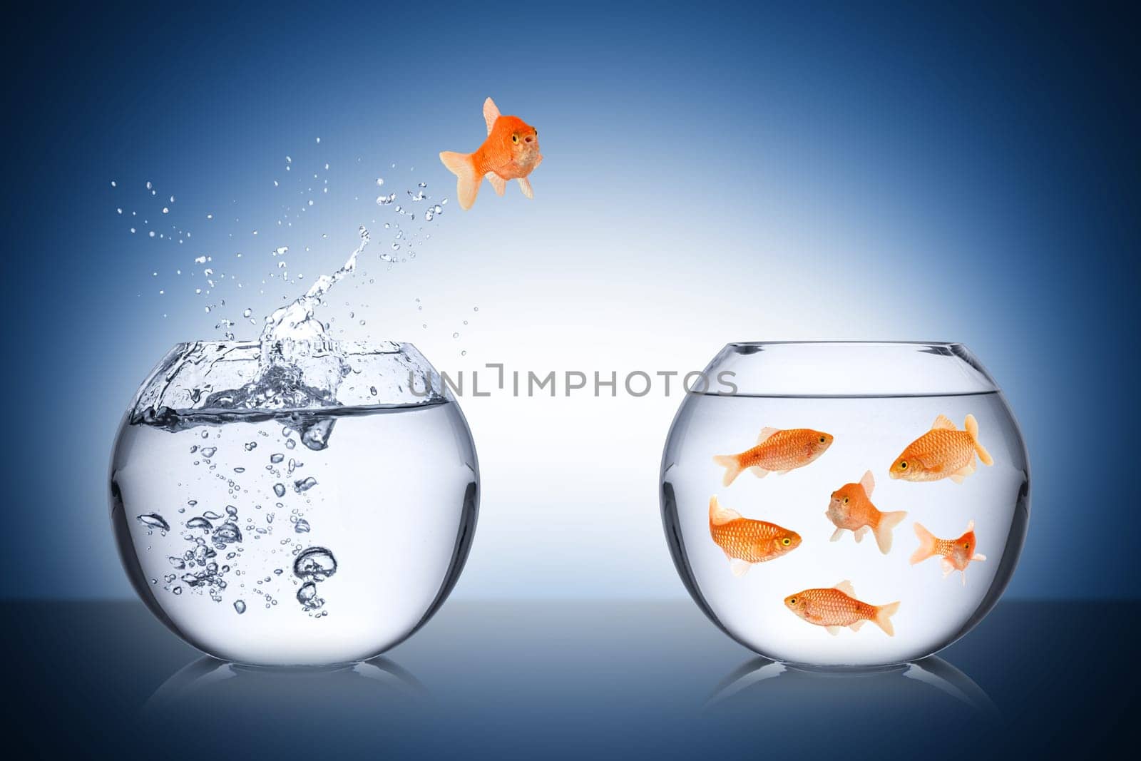 Challenge concept with fish