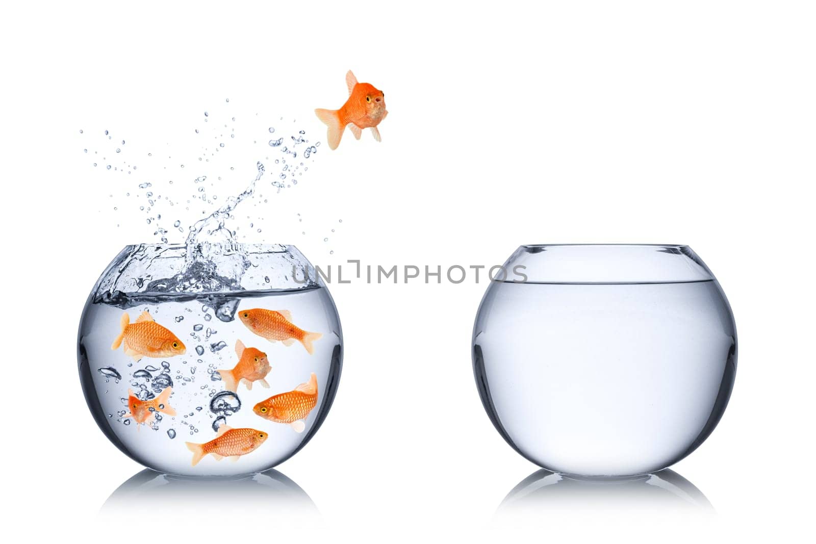 Challenge concept with fish