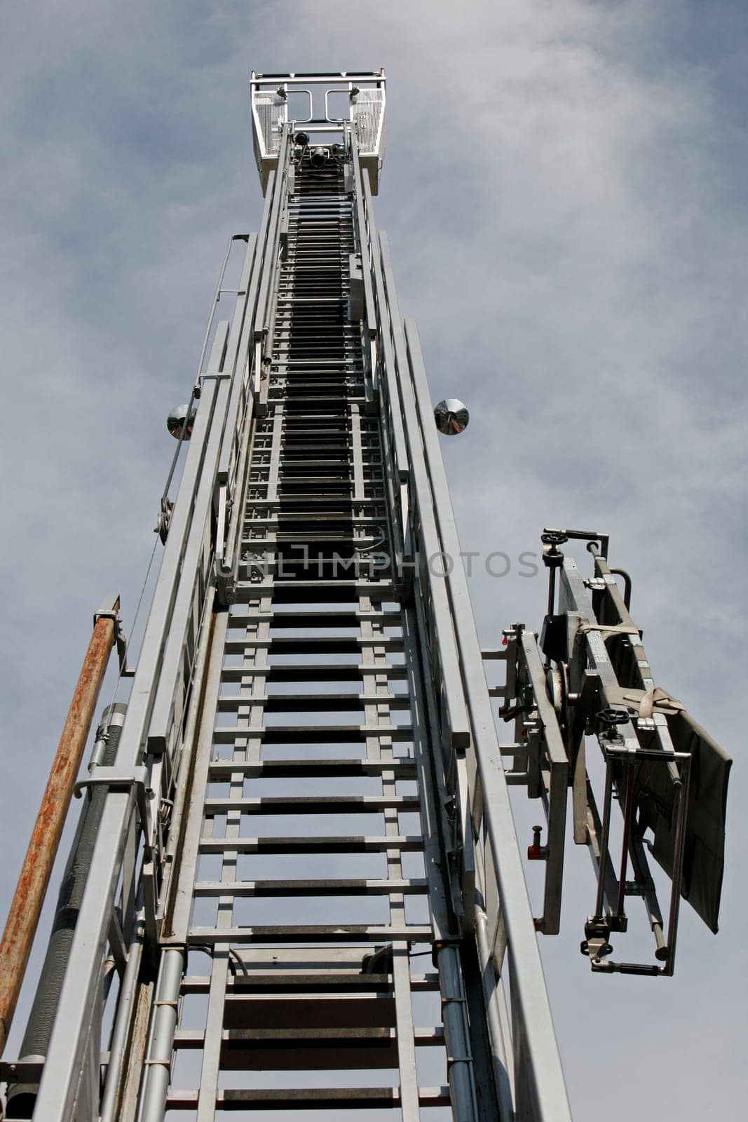 Fire Chief
