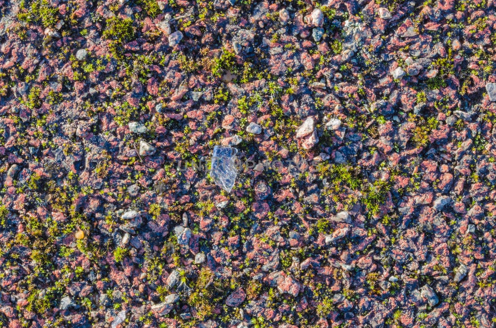 Surface of an old neglected tennis court