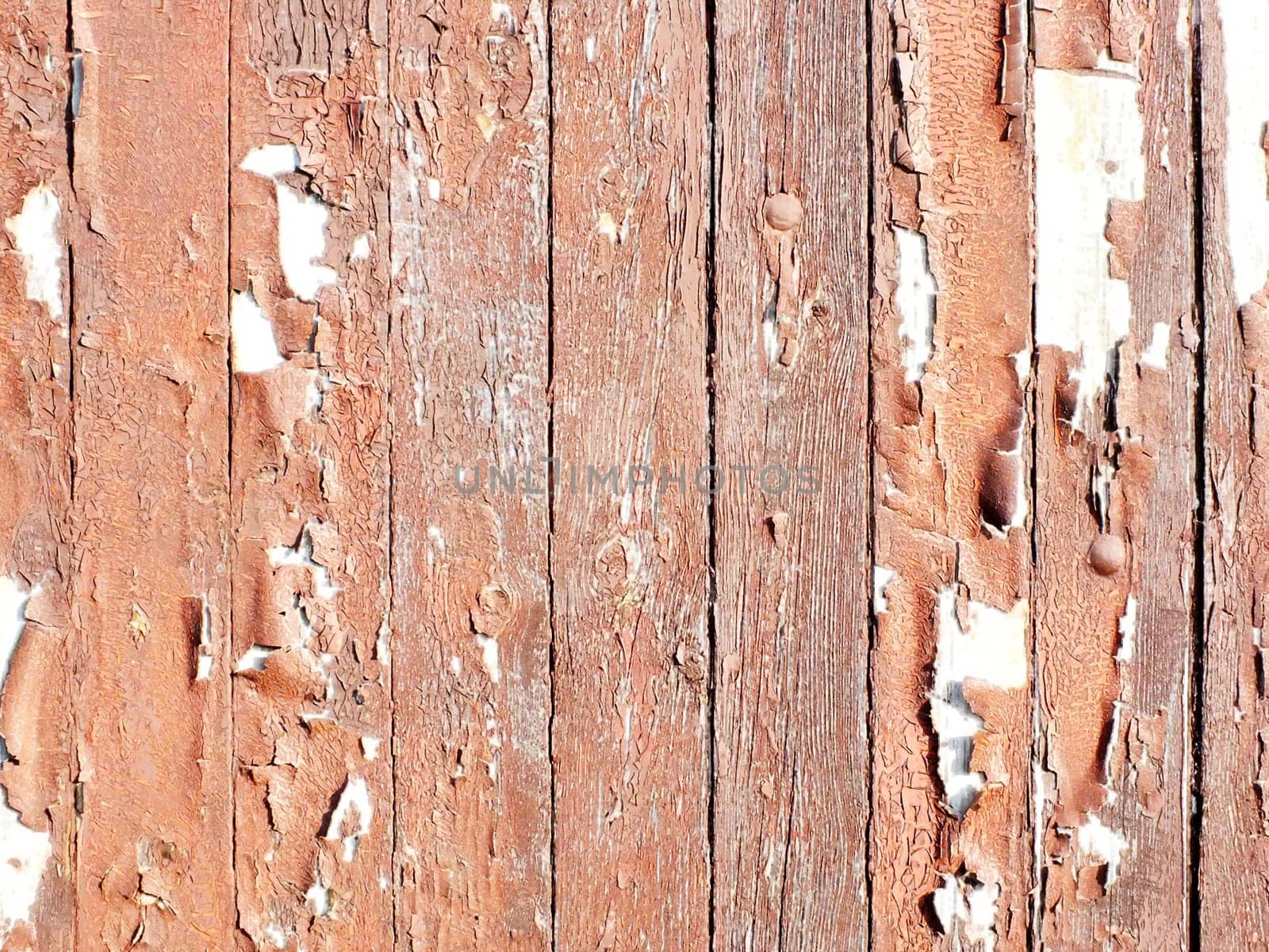 wood