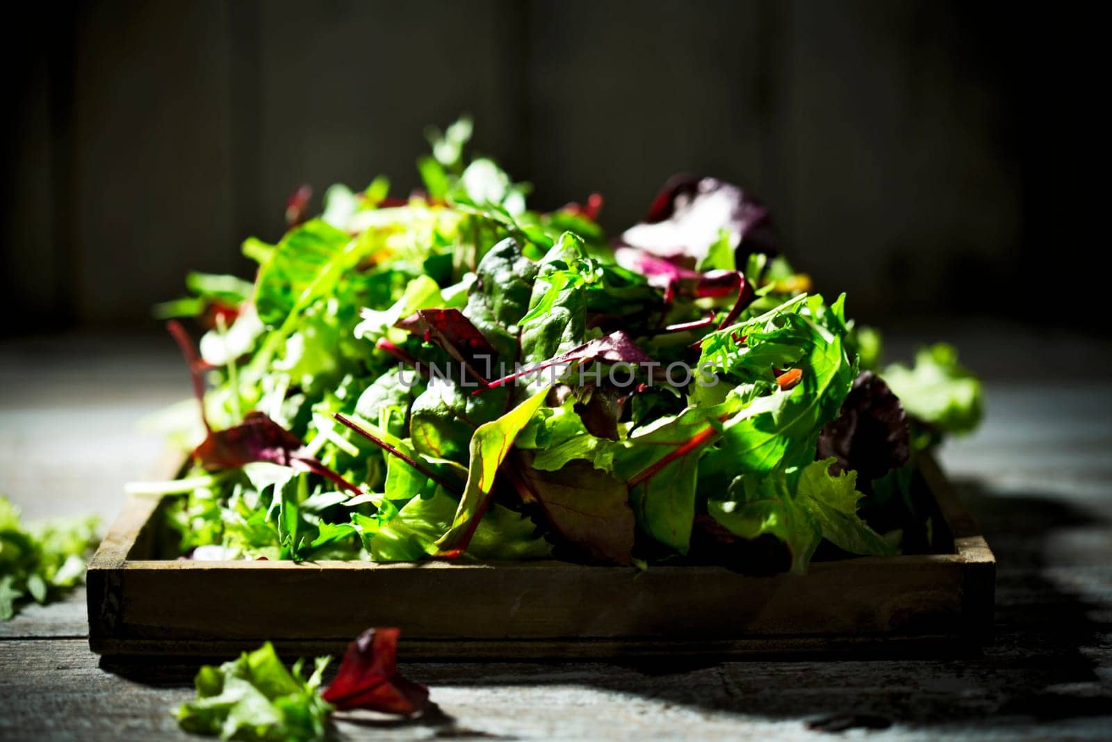 mixed lettuce,lettuce,lollo rosso,radiccio rosso,rocket