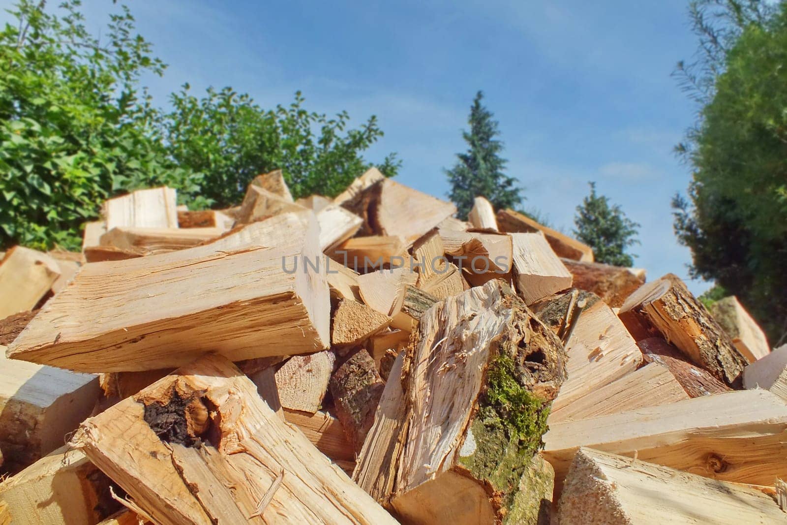 firewood