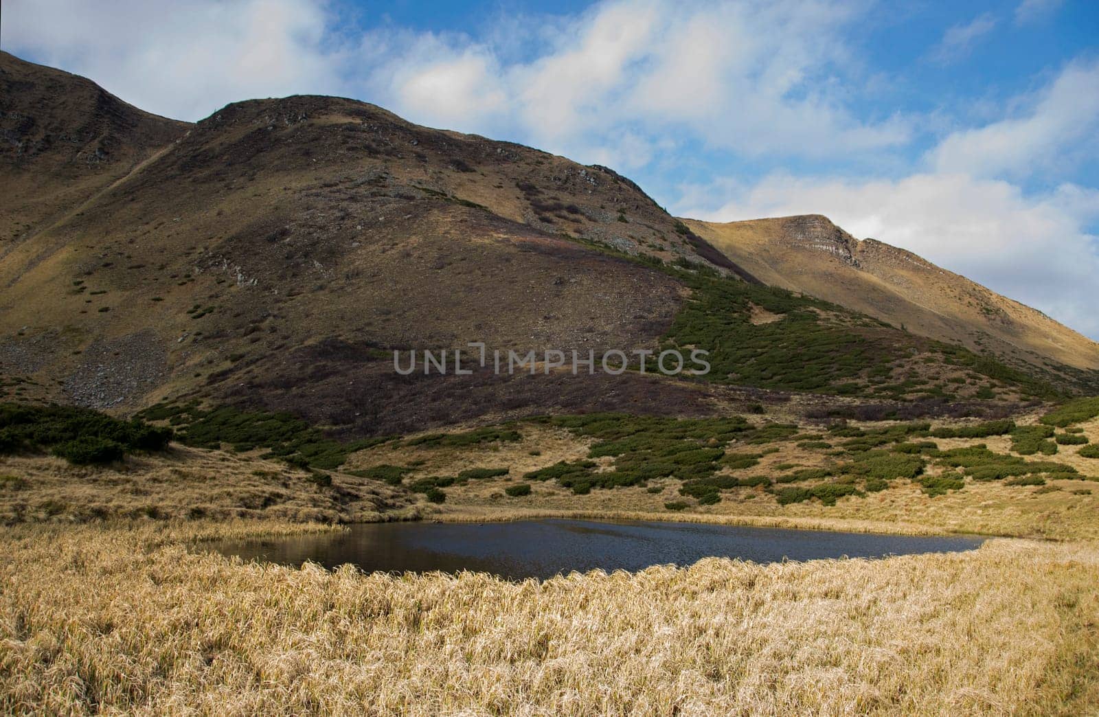 Oval lake at the foot of the mountain