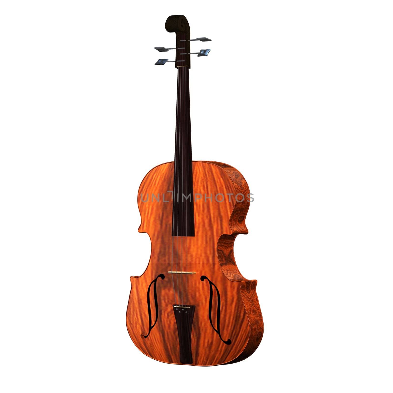 violoncello isolated under the white background
