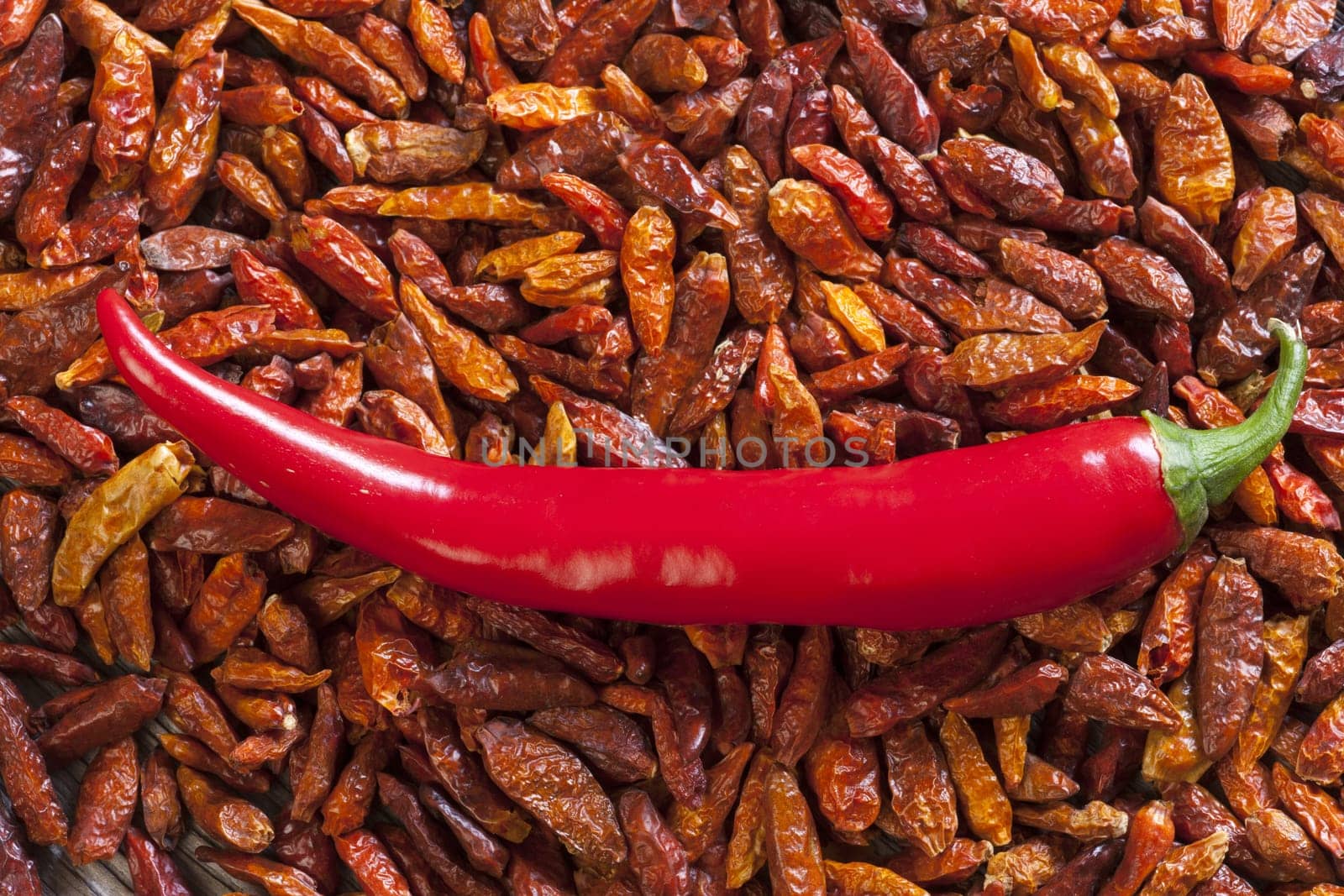 Background with chilli pepper on dried chili peppers