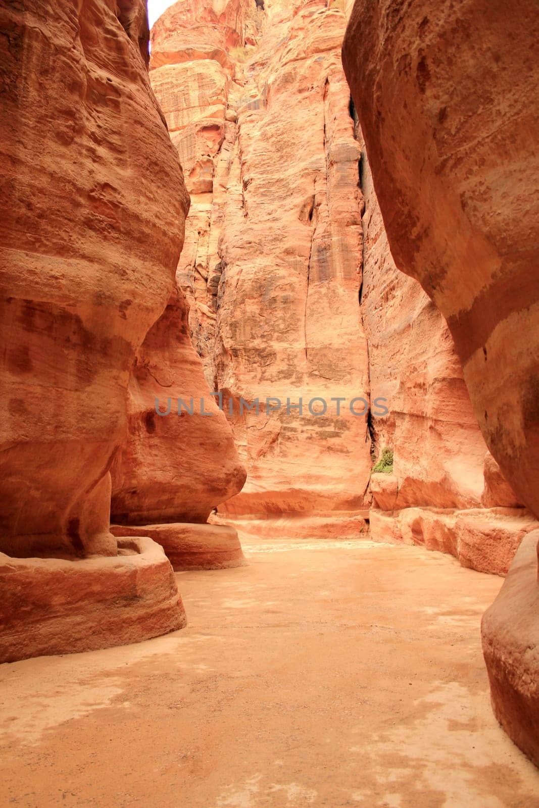 Rosy red walls of the Siq canyon, leading to the Treasury in Petra, Jordan.