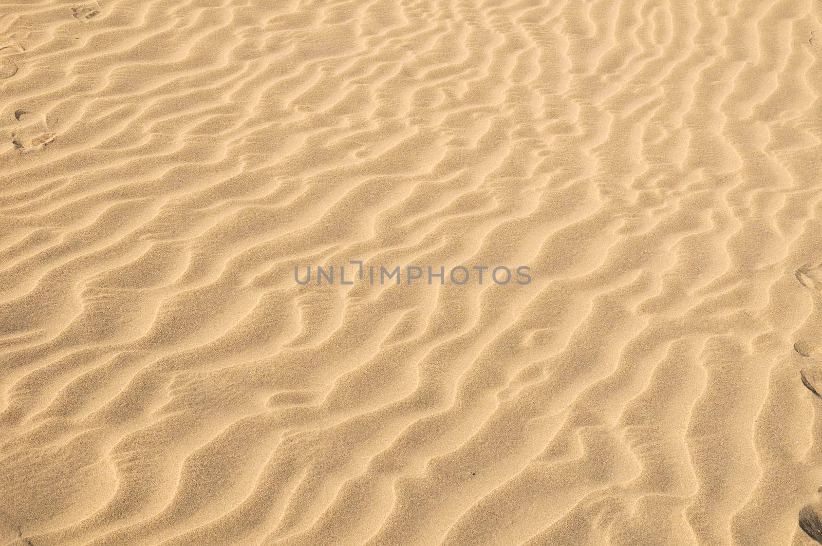 Texture Sand Dune Desert in Gran Canaria Island Spain