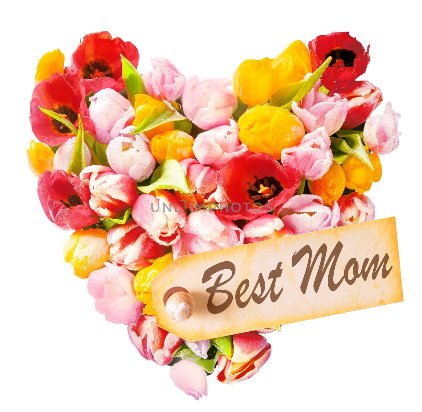 Mothers Day heart-shaped greeting with an arrangement of beautiful mulitcoloured fresh tulips isolated on white with a gift tag reading - Best Mom - a tribute from a child to its mother